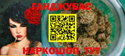 МДПВ Моздок