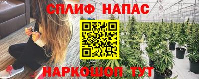 МДПВ Моздок