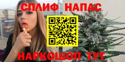 МДПВ Моздок