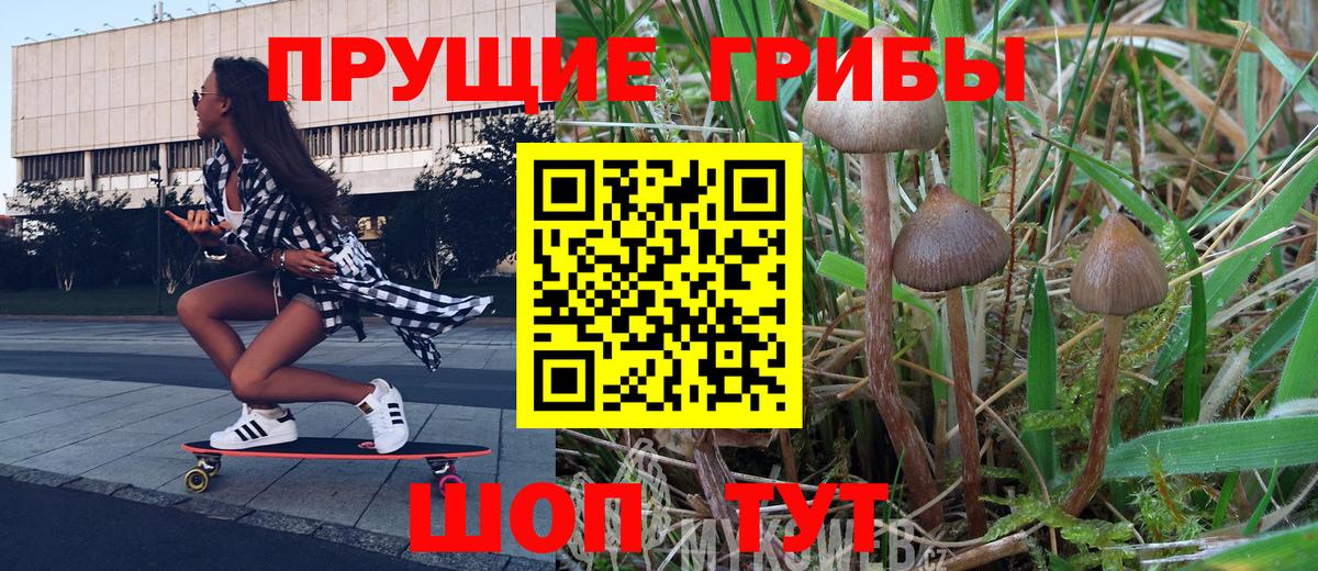 Чита  Галлюциногенные грибы мухоморы  Вход с VPN 